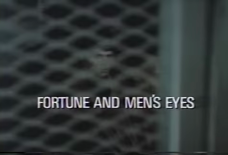 Fortune_and_Mens_Eyes_1971_x264.png